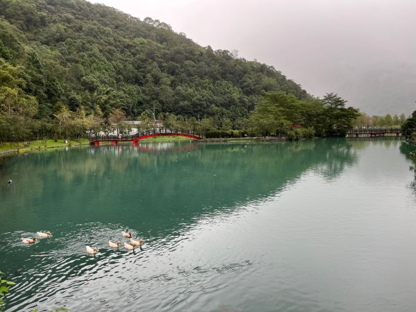 20241121_望龍埤步道2855712