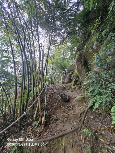 2026-03-21微笑山線：【鳶山山系】鳶山彩壁段3020472