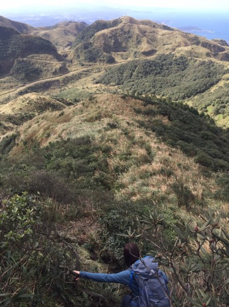 茶壺山-半屏山-燦光寮山縱走1252965