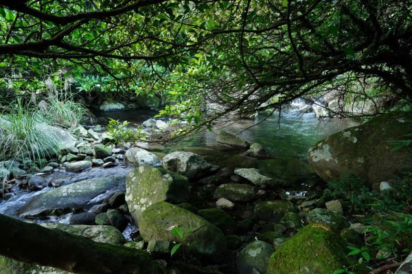 新北 萬里 鹿崛坪山、富士坪山、大尖山2353360