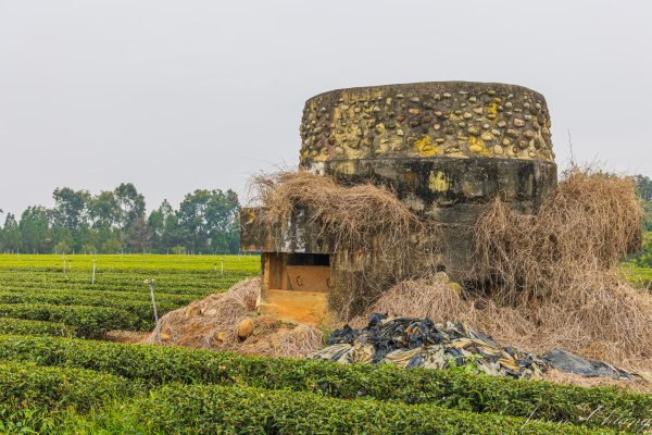 [南投]松柏坑山2683280