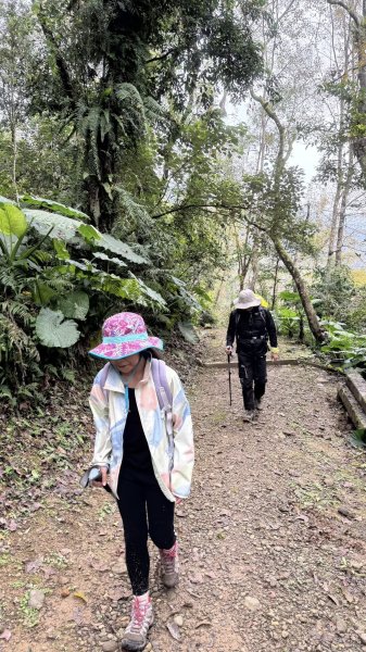 20260203小百岳月眉山鯉魚山2994880