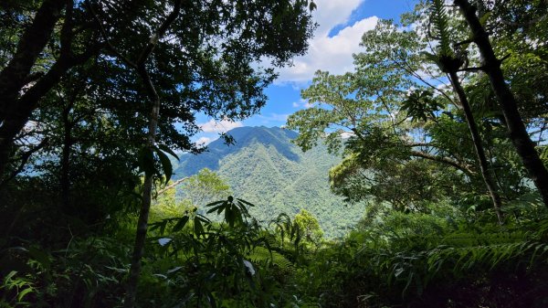 塔曼山，拔刀爾山，美鹿山南峰，內洞林道，大刀山，啦卡登山步道，桃園枕頭山，阿姆坪生態公園，大溪坪古道1795474