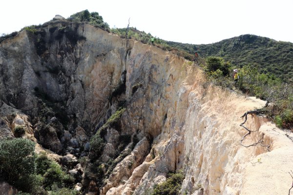 HK - 青山復地1482578