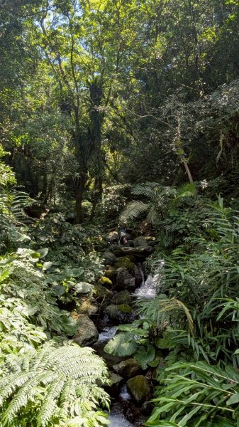 三角崙山、聖母登山（抹茶山）步道3067687