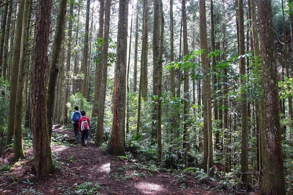 【新竹】油羅山O形走