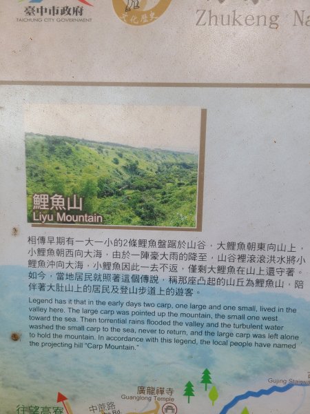 竹坑南寮登山步道~舒服山景2759642