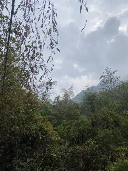 奮瑞瑞太古道3060181