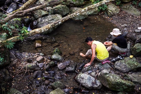 滿月圓森林步道2870089