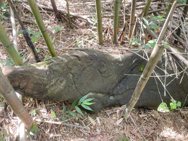 微笑山⛰️線-大棟-二格山-五分山-天上山-鳶山💎12條步道完成💙2837220
