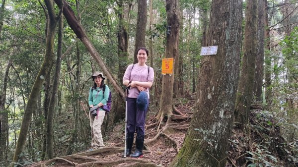 向天湖山11501252988149