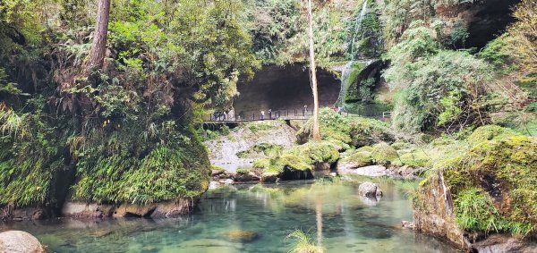 2023-01-01杉林溪青龍蕨類步道(青龍瀑布)、松瀧岩瀑布及天地眼步道1978876