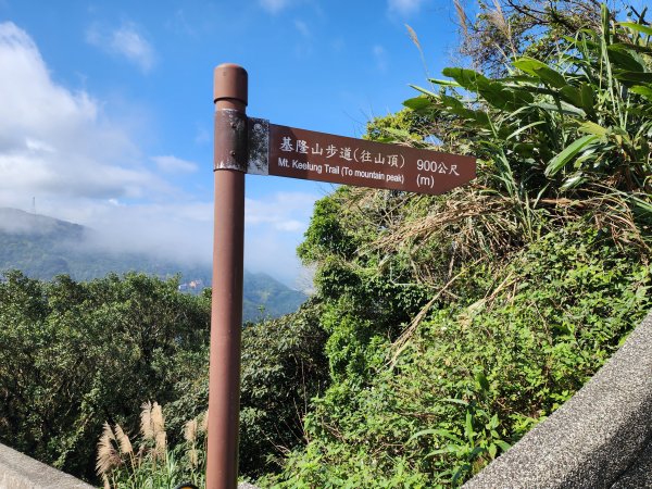 小百岳No.6⛰基隆山2429548