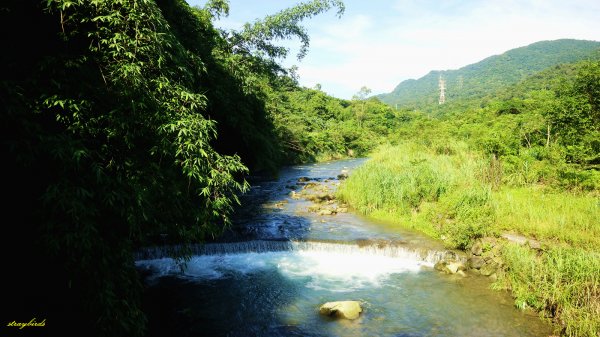 【淡蘭中路】翻山越嶺的茶商之道981231