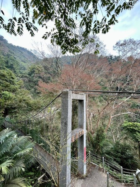 （雲林）草嶺蓬萊瀑布步道2721139