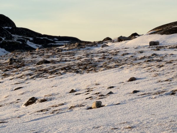 [紐約馬之行-34] 2025_1106 山頂微波站2948010