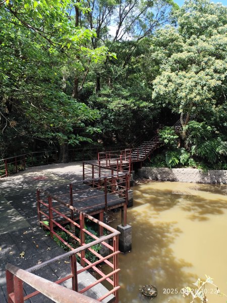翠山步道、大崙頭尾山親山步道【臺北健走趣】2874326