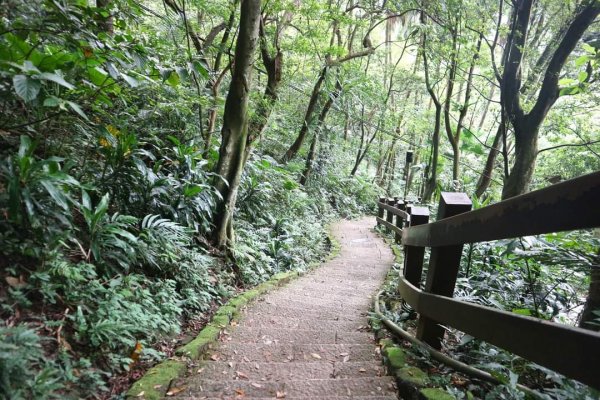 小百岳NO.13南港山，南港山北峰，九五峯2285599