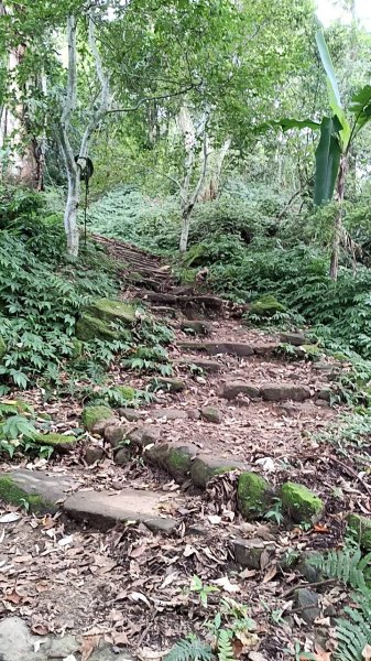20250927 馬那邦山 - 上湖登山口2895900