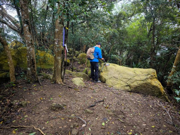 2025-03-08 汶水三山：金童山、汶水山、玉女山 連走2736529