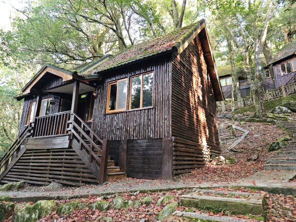 大雪山森林遊樂區森林浴步道