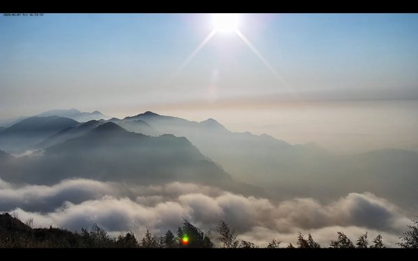 阿里山雲瀑&雲海/富士山直播即時視訊827055
