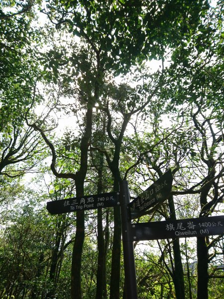 泰安瀑布-姜子寮山步道821758