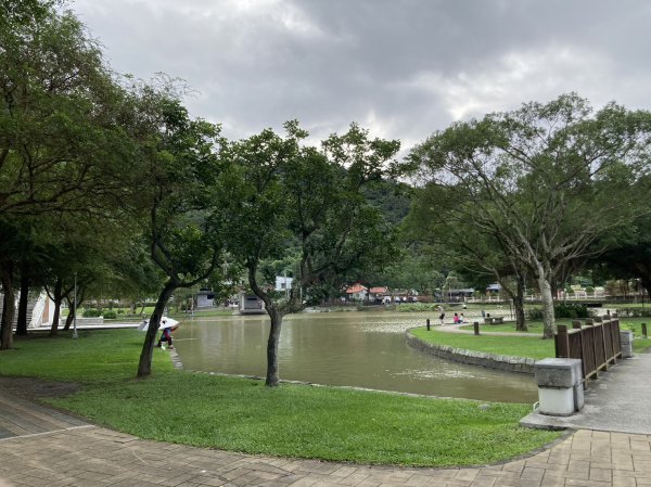 人鳥熱鬧滾滾的大湖公園、聖誕樹色彩繽紛的湖光基督教會【走路趣尋寶】1927534