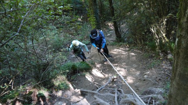 馬武佐野郡山登山健行趣(中級山)1508689