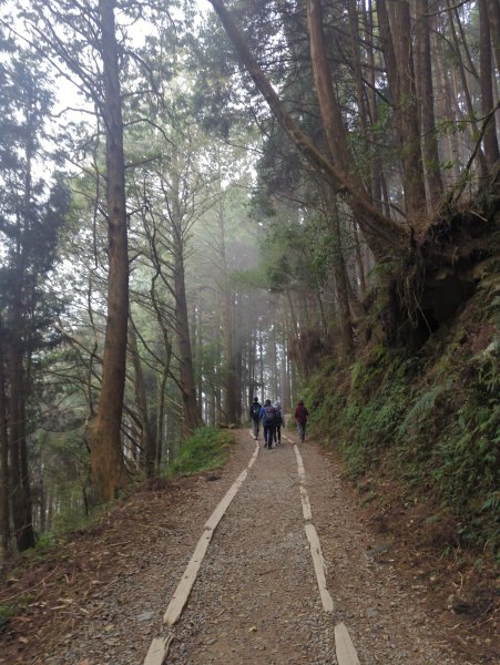 2026.02.14－特富野古道3013737