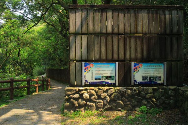 內湖鯉魚山環狀步道 20180319300679