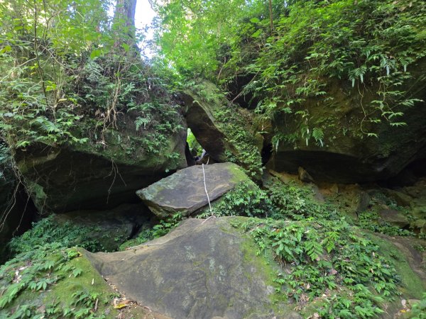 石牛山（小百岳）2909984