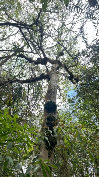 20240419-20松羅湖二天一夜2767351