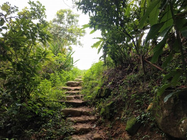 黎和生態公園→富陽自然生態公園→中埔山/東峰→福州山→富陽自然生態公園1438413