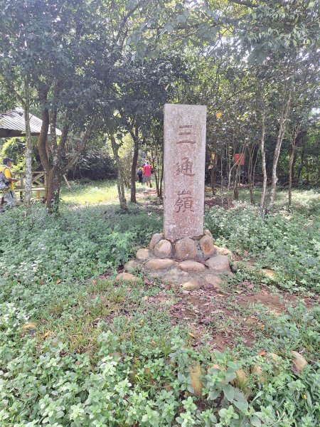 三義挑炭古道(三通嶺古道)11508233115419