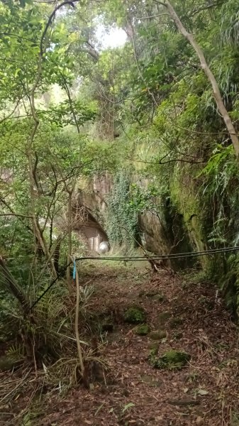 月眉洞步道-仙洞湖山未果3115497