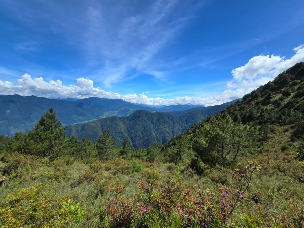 志佳陽大山（回程走高繞環山獵人登山步道）2542152