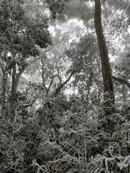 雪季北得拉曼2956418