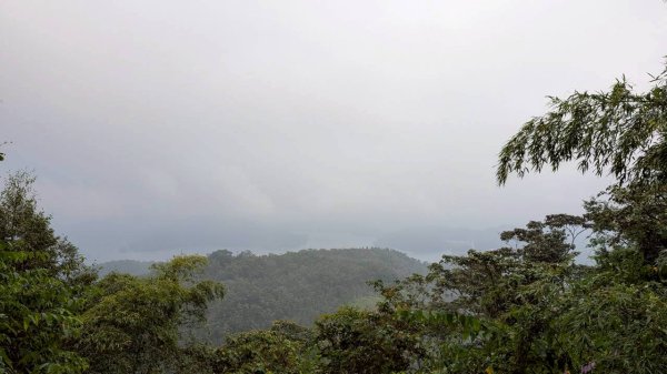 貓囒山步道2928518