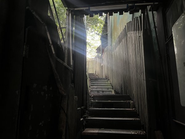 [百山百鳥尋旅-01/15] 2025_0807 和美山步道2854538