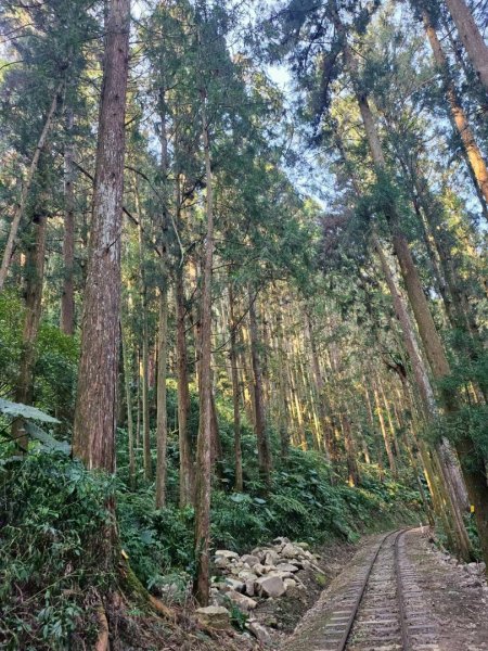 20260330十字路車站O繞多林車站 得恩亞納3027283