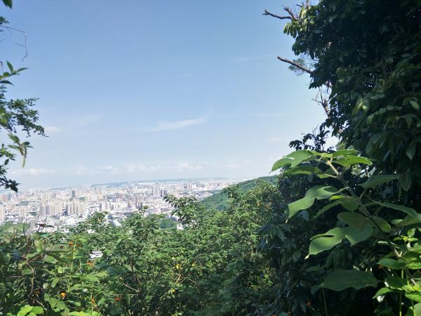 南觀音山步道374790