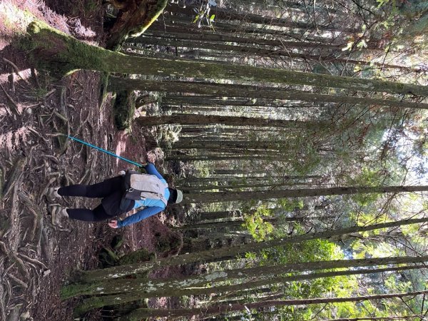 20241010_觀霧森林遊樂園區2855687