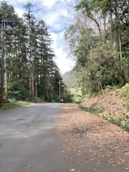 雪山坑環線步道2991145