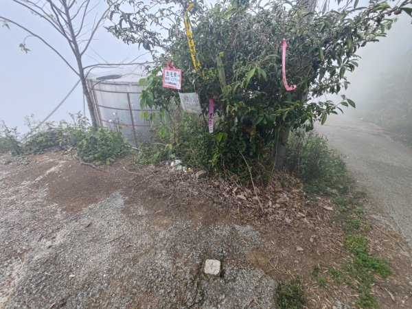 梅山鄉撿山頭2449430