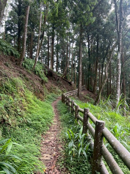 嵐山再古坑。五元兩角 木馬古道2806205