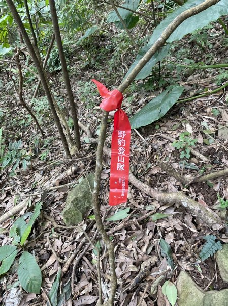 山仔頂步道2708445