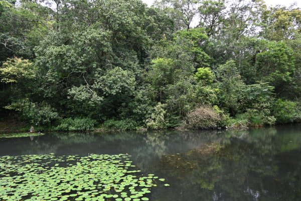 2025_0712 福山植物園2836171