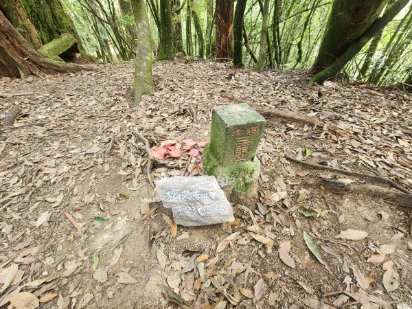 20250831鳶嘴稍來2928620