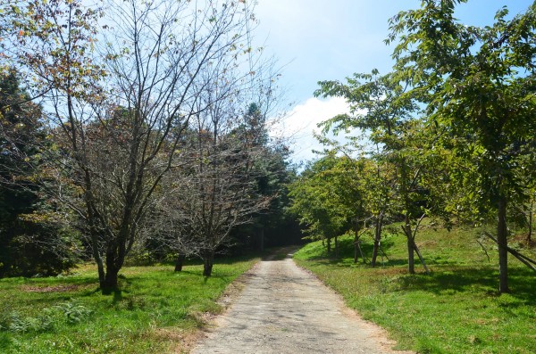 北東眼山239921